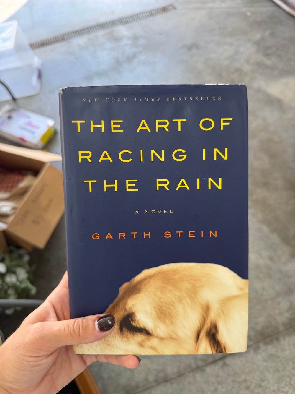 The Art of Racing in the Rain